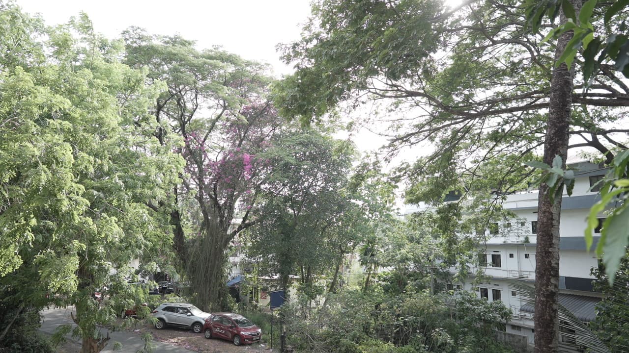 Navalok Academy Of Logistics & Supply Chain Management Kochi Campus photo 1